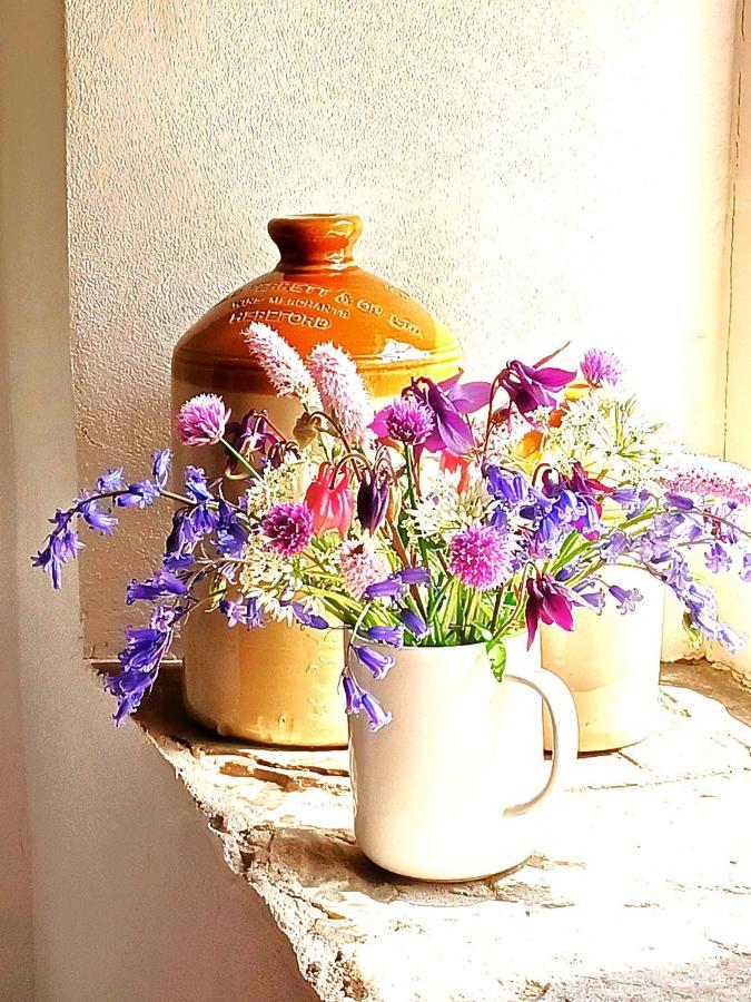 Old Bake House Cottage @ Cwm Mill Michaelchurch Εξωτερικό φωτογραφία